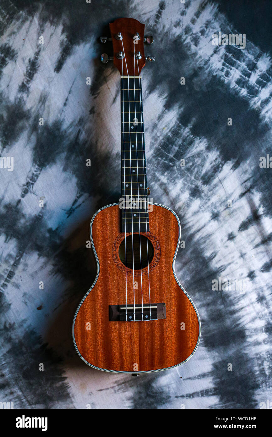 L'ukulele ukelele o è un membro della famiglia di chitarra di strumenti. Si  impiega generalmente quattro nylon o corde di budello o quattro corsi di  stringhe Foto stock - Alamy