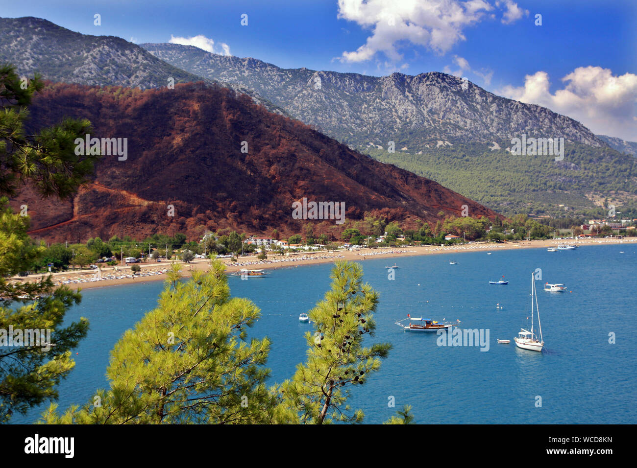 Paradise Bay di adrasan dopo l incendio di foresta Turchia Antalya Foto Stock