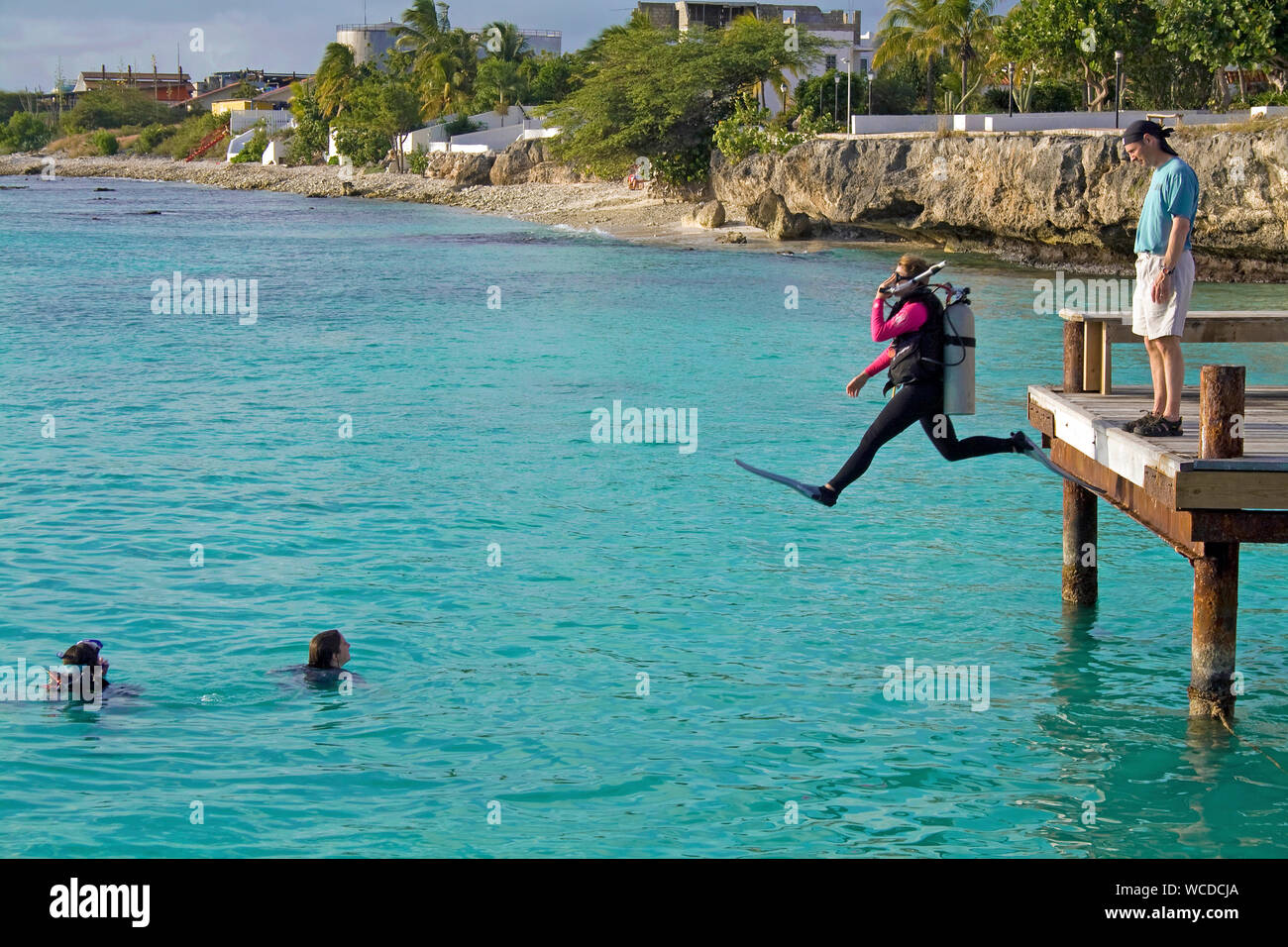 Scuba Diver saltando da un pontile, capitano Don's Habitat, Resort e Diving hotel, Kralendijk, Bonaire, Antille olandesi Foto Stock