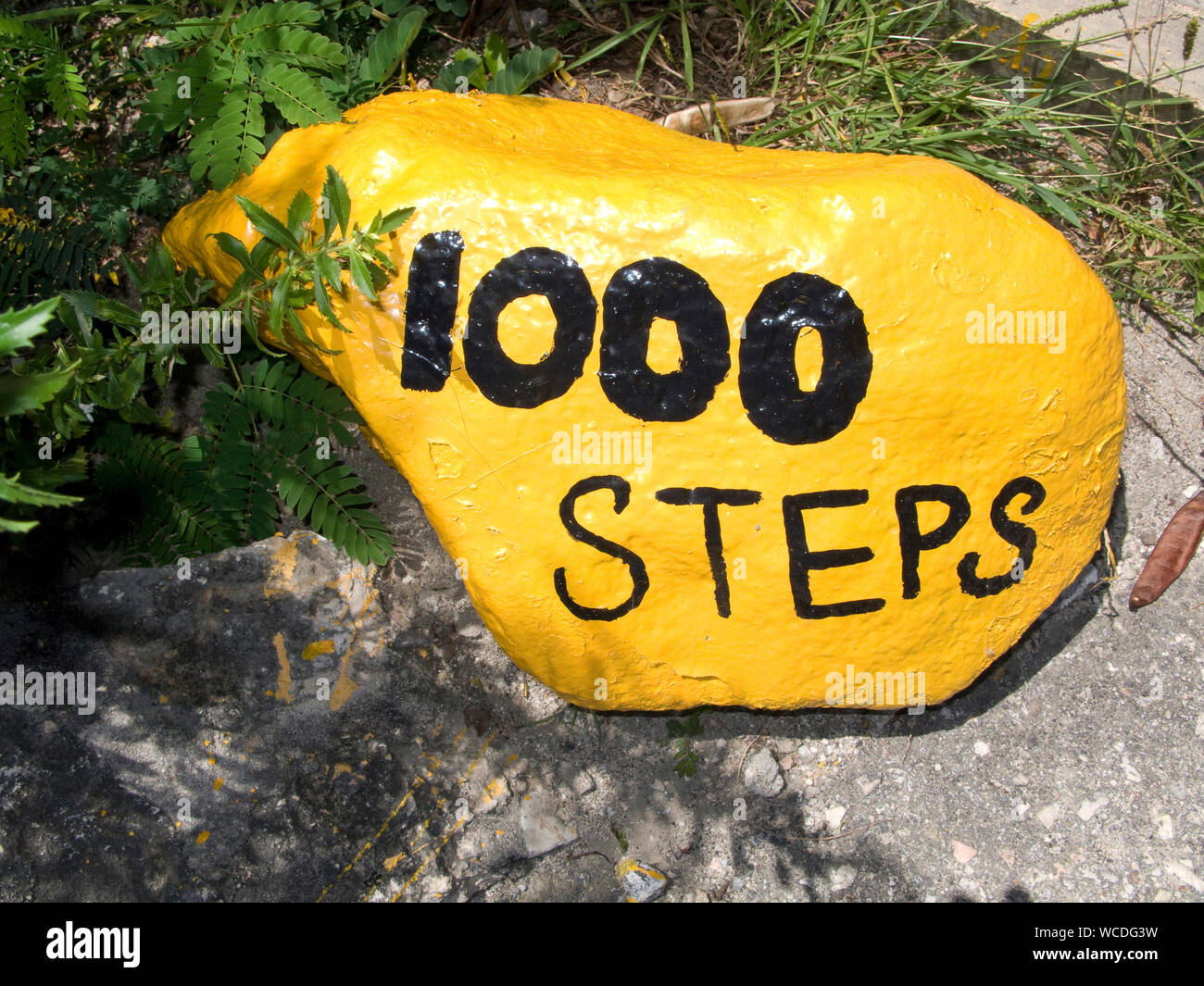 Strada segno del sito di immersione "1000 passi', famosa per lo snorkeling e scuba diving, Bonaire, Antille olandesi Foto Stock