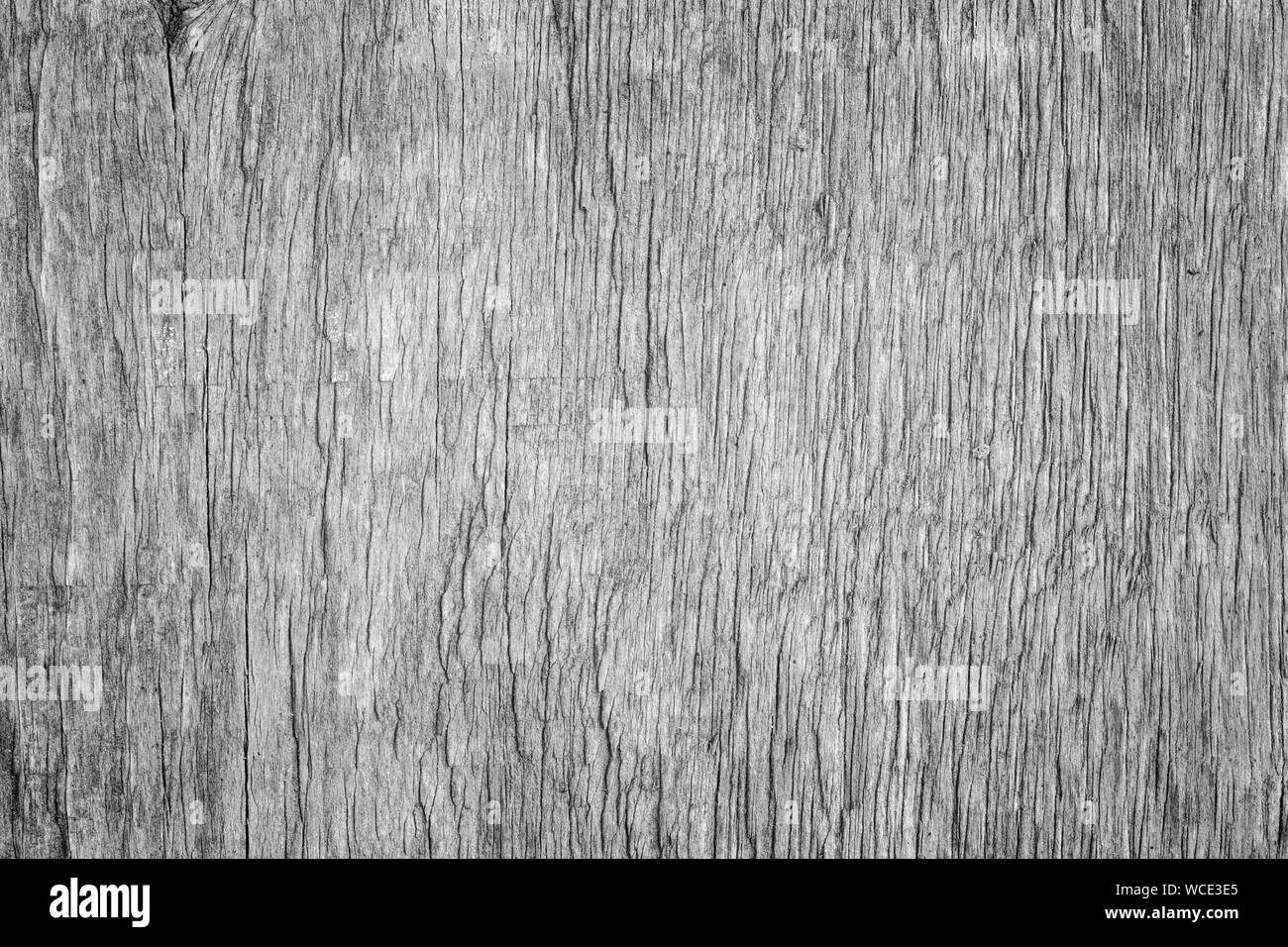 Macro Close-up di un'anziana e weathered wood board in bianco e nero. Alta risoluzione full frame sfondo testurizzata con vignette. Foto Stock
