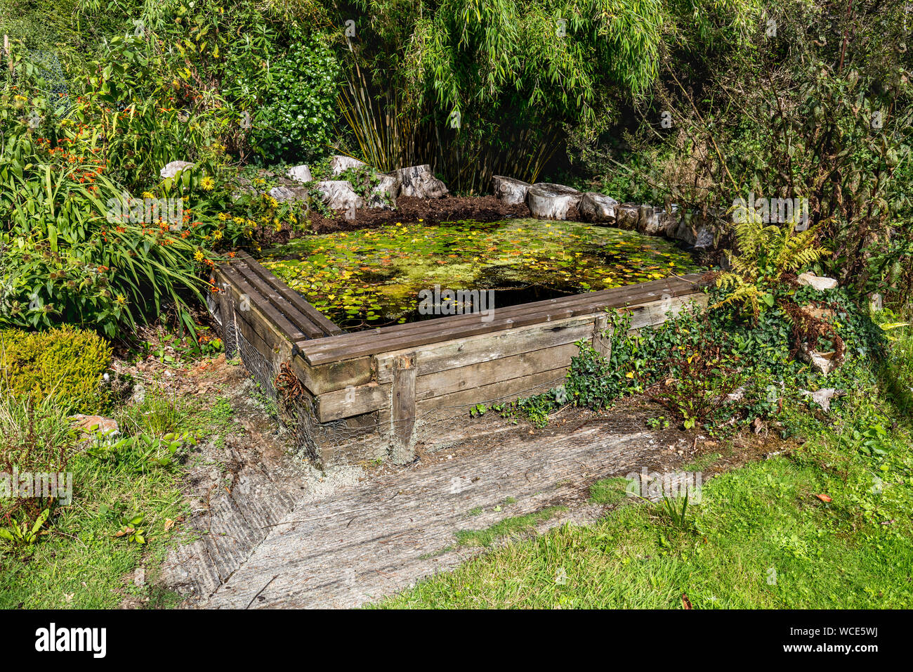 Laghetto in giardino; Cornovaglia; Regno Unito Foto Stock