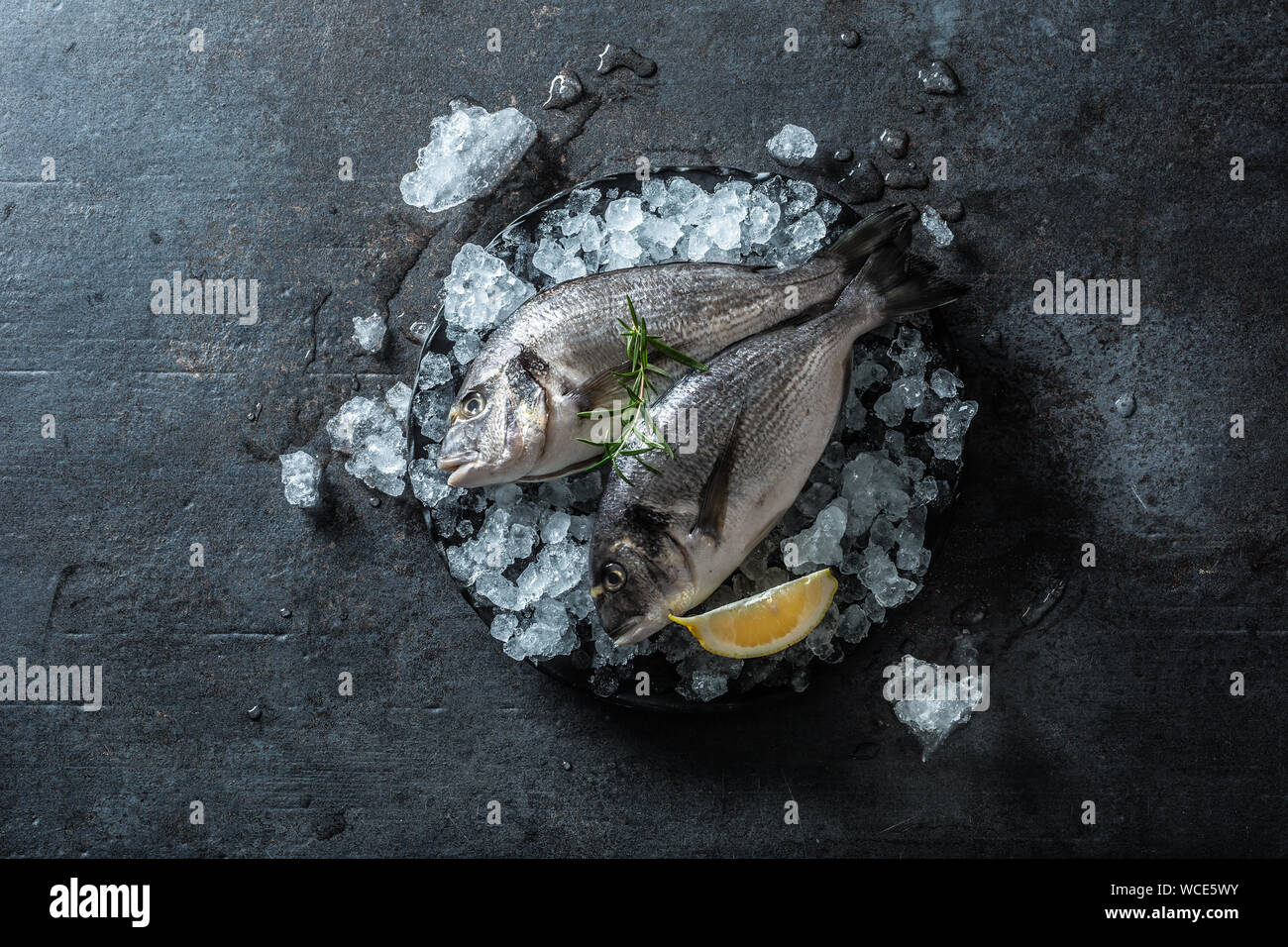 Materie Mediterranea di pesce orate in ghiaccio con rosmarino e limone Foto Stock