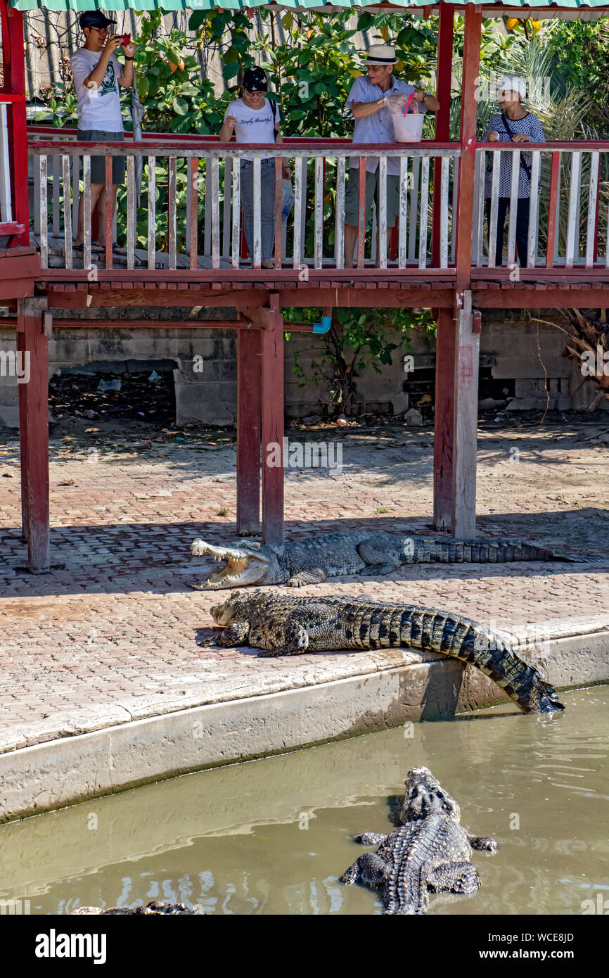 SAMUT PRAKAN, Thailandia, 18 maggio 2019, allo Zoo di visitatori guardare i coccodrilli in piscina. I turisti su passerella alimentando i coccodrilli. Foto Stock