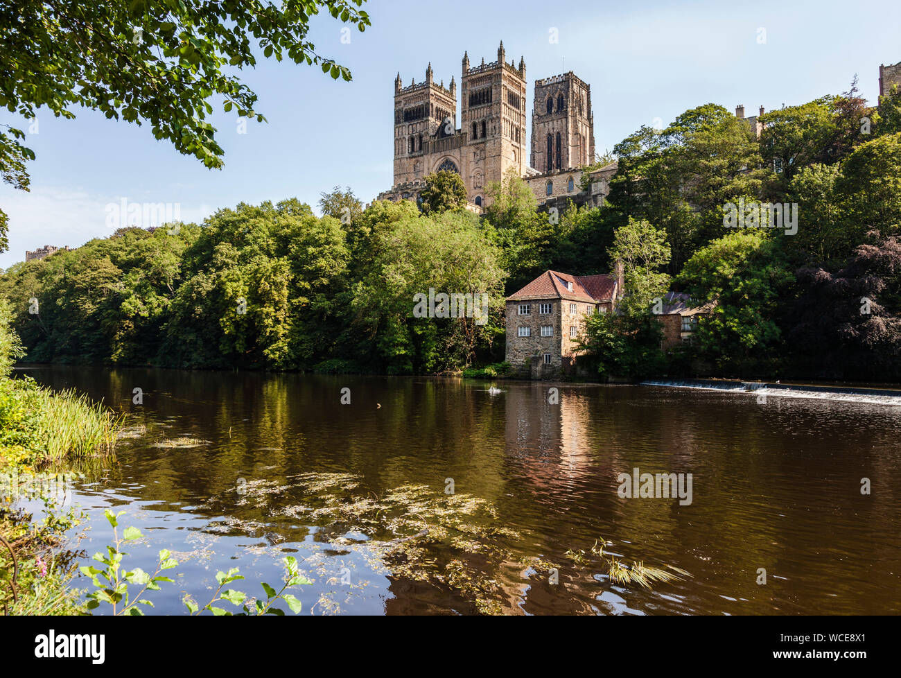 Una vista della Cattedrale di Durham e si affaccia sul fiume usura Foto Stock