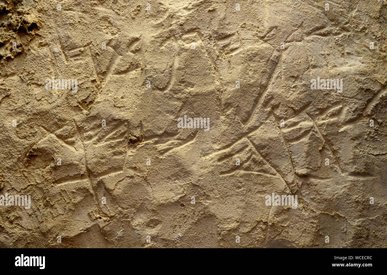 Il blocco di pietra calcarea dating 800-750 A.C. con iscrizione in ebraico arcaico script invocazione del cuscinetto di una maledizione da Jahvè, Signore degli eserciti il solo riferimento a Yahweh al di fuori della bibbia visualizzati nell'archeologico 'Bibbia Museo Terre' in Givat Ram Gerusalemme ovest Israele Foto Stock