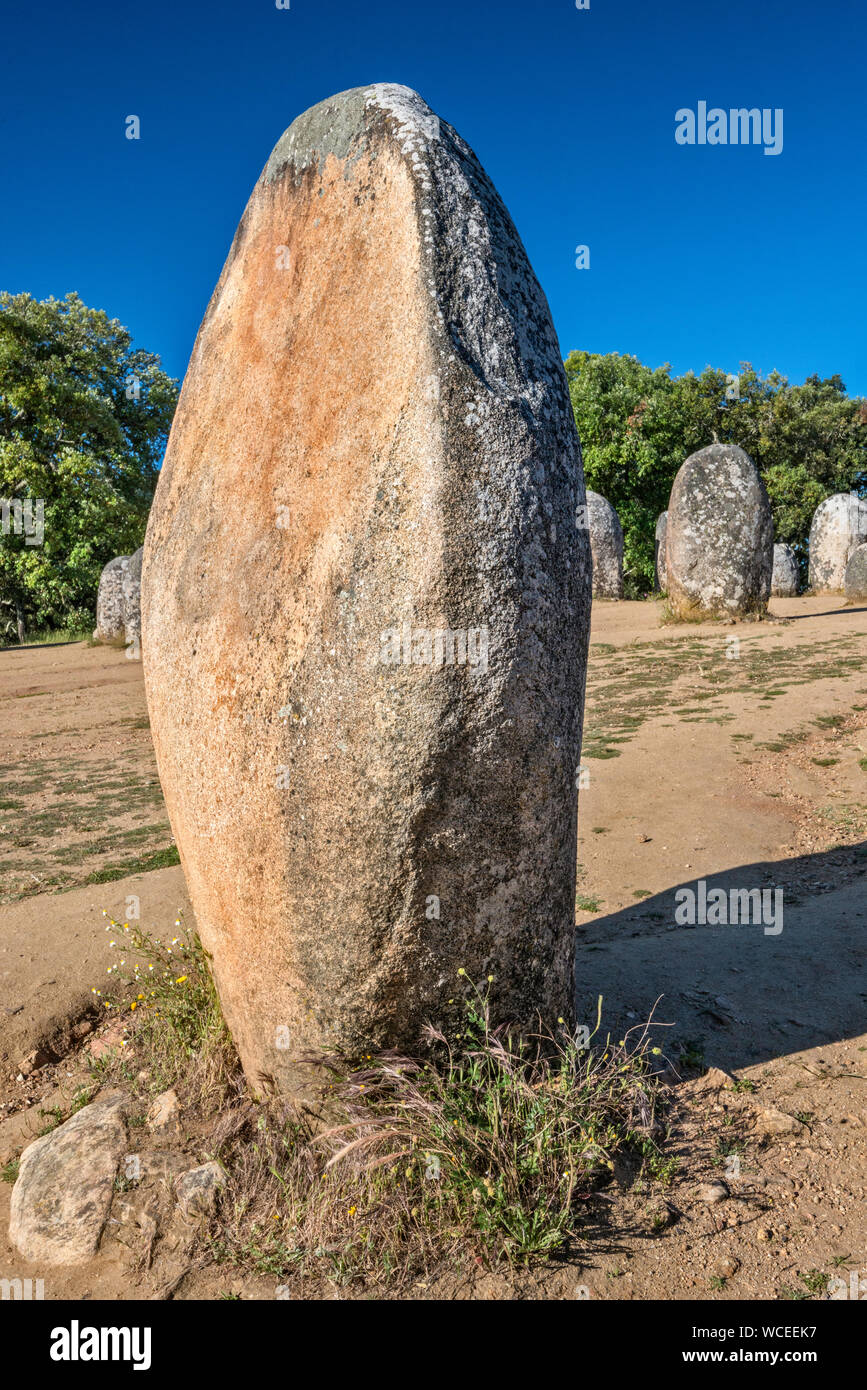 Cromeleque dos Almendres, Almendres Cromlech, cerchio di pietra, monumento megalitico costruito da 6 a 7000 anni fa, vicino a Evora, Alentejo Central, Portogallo Foto Stock