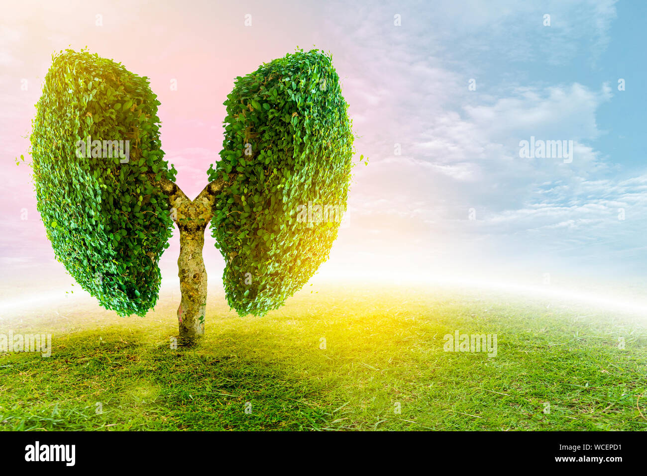 Polmone verde a forma di albero di immagini, concetti medici, autopsia, visualizzazione 3D e animali come un elemento Foto Stock