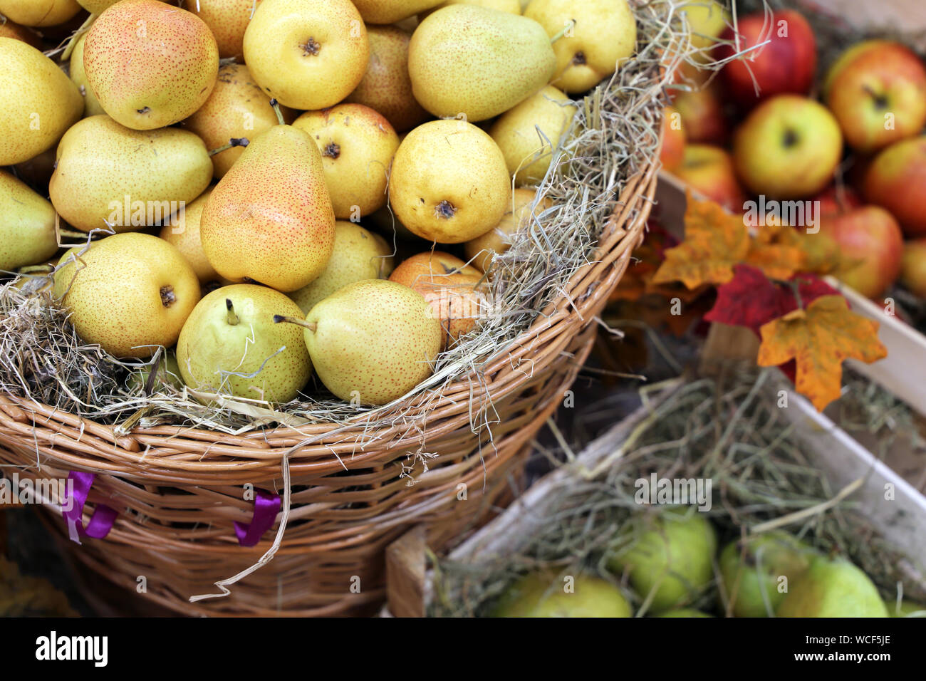 Pere e mele sulla paglia in una cestini di vimini e decorate con foglie di autunno. Harvest vacanza festosa, decorazioni, mercato di fattoria Foto Stock