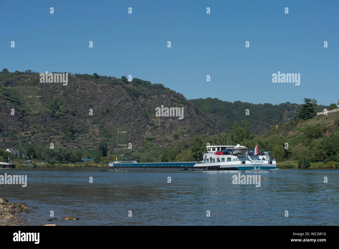 Fiume Mosel, Germania Foto Stock