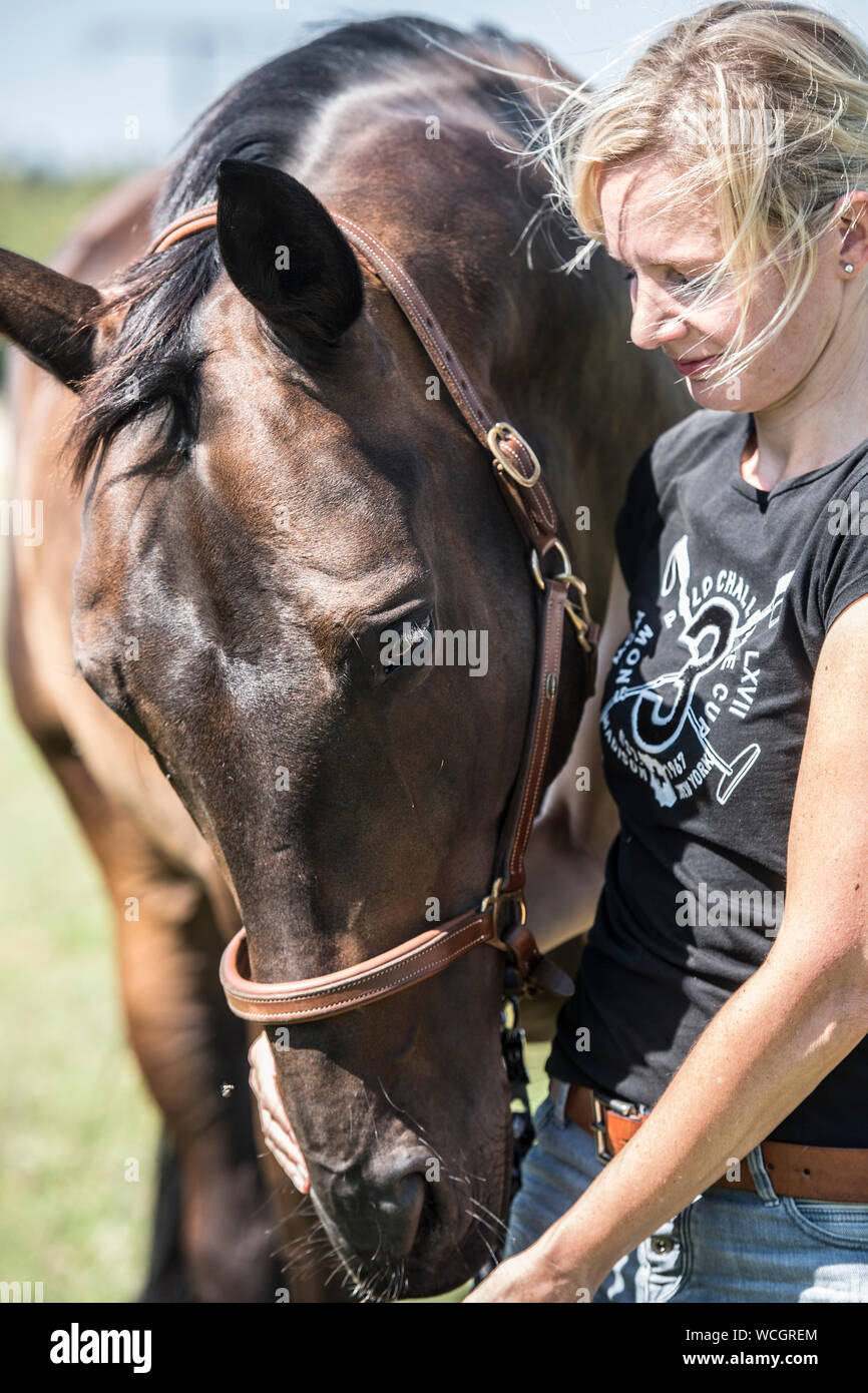 Ragazza con il suo cavallo Foto Stock
