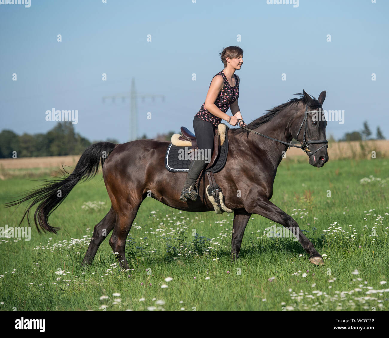 Ragazza con il suo cavallo Foto Stock