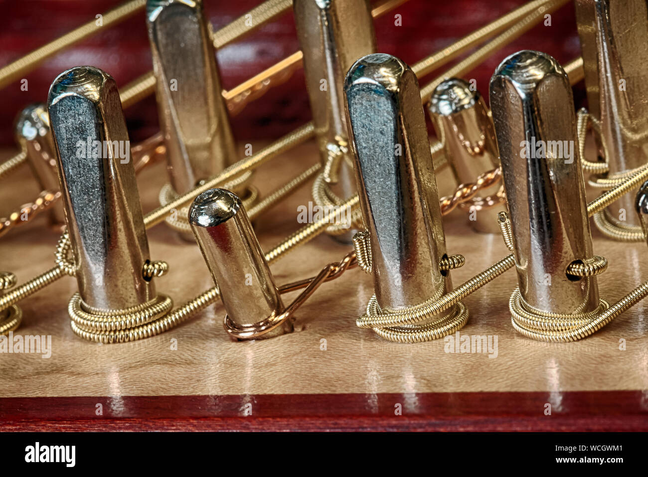 Close-up di strumento a corda Foto Stock