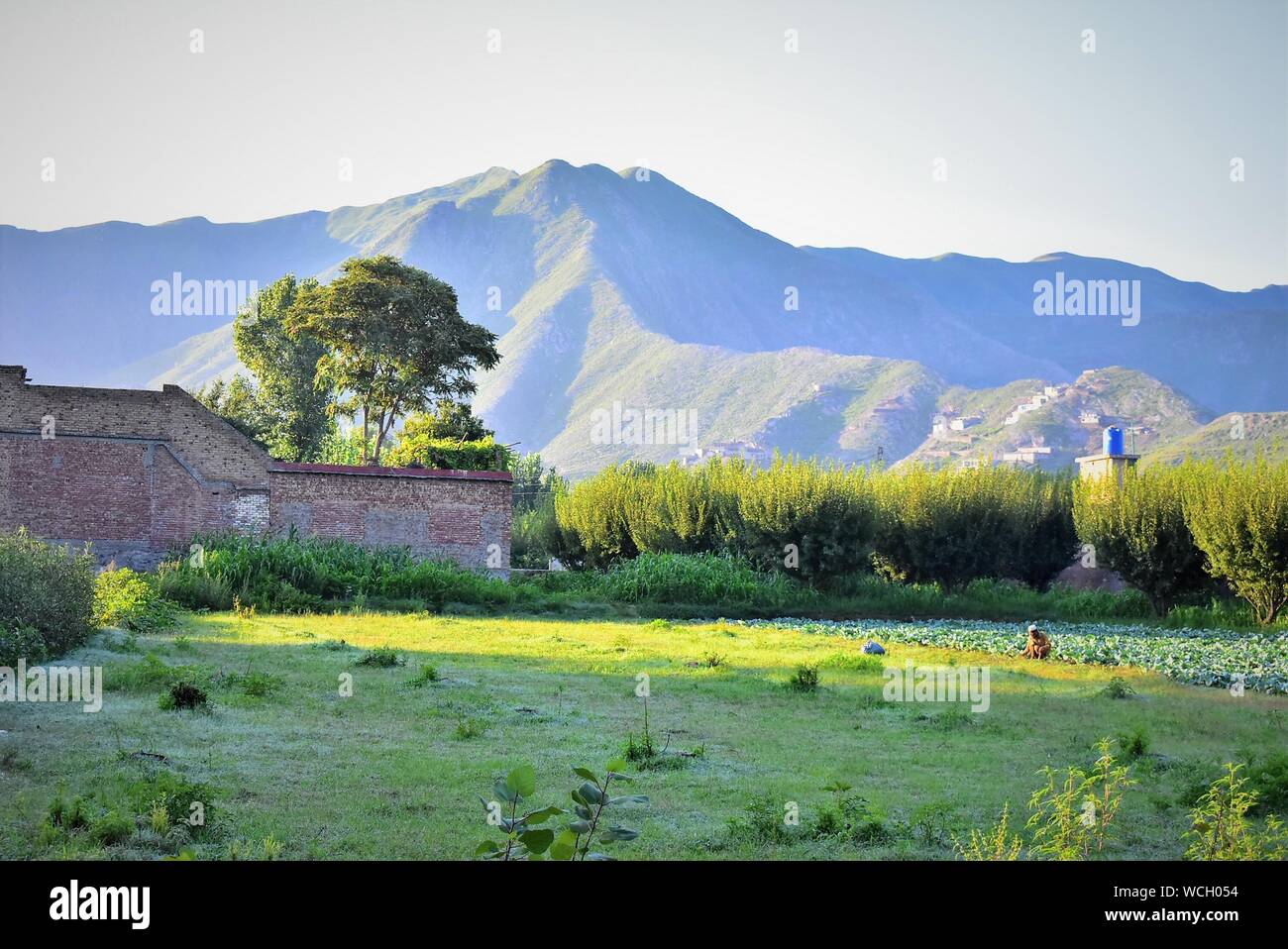 La bellezza di Natura Foto Stock