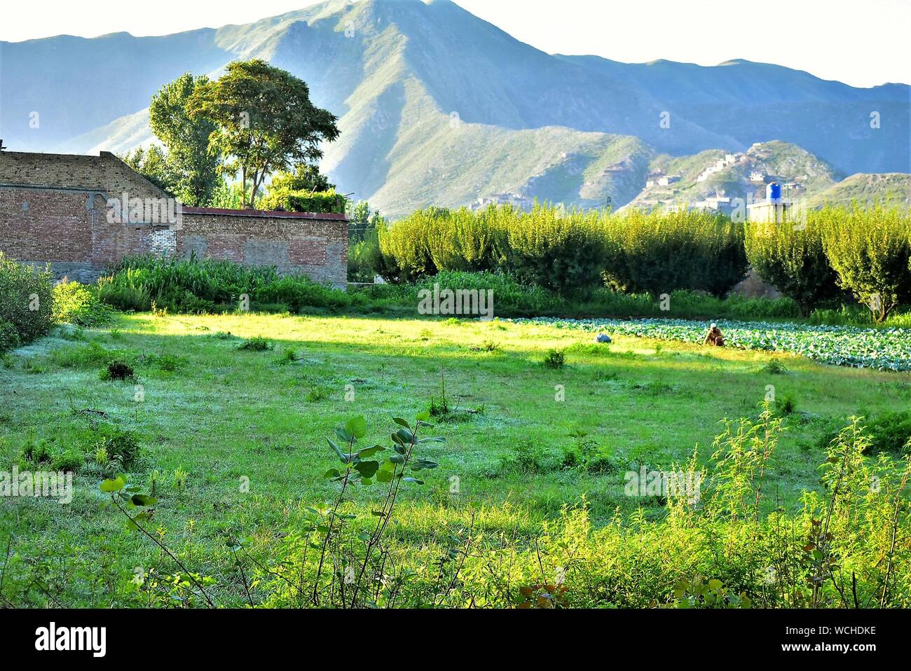 La bellezza di Natura Foto Stock