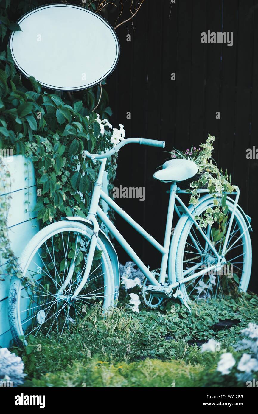 Primo piano verticale di una bicicletta azzurro vicino al verde piante Foto Stock