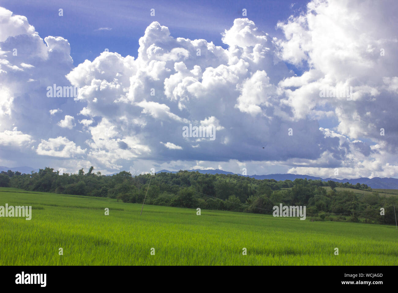 Blue sky nuvola bianca su sfondo verde di riso archiviato e paesaggio di montagna Foto Stock