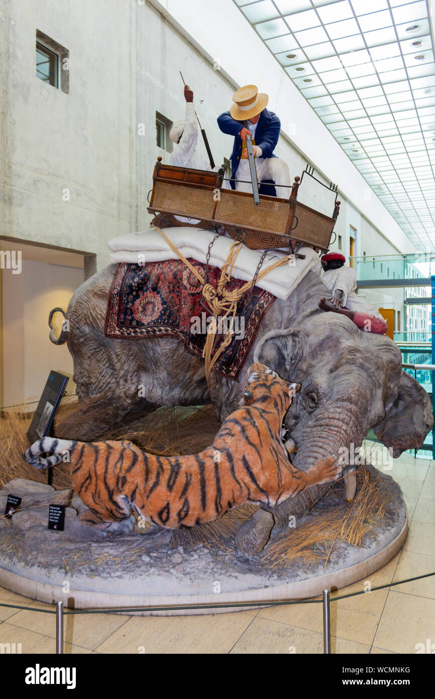 Il Royal Armouries Museum, Leeds, West Yorkshire, Inghilterra. La ricreazione di una tigre cacciare in India in mostra nella galleria di caccia. Foto Stock