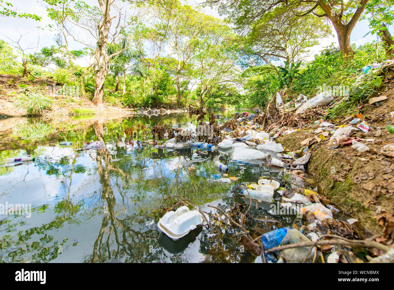 Green River banche con alberi pieni di immondizia e indesiderata in Santo Domingo, Republica Dominicana Foto Stock