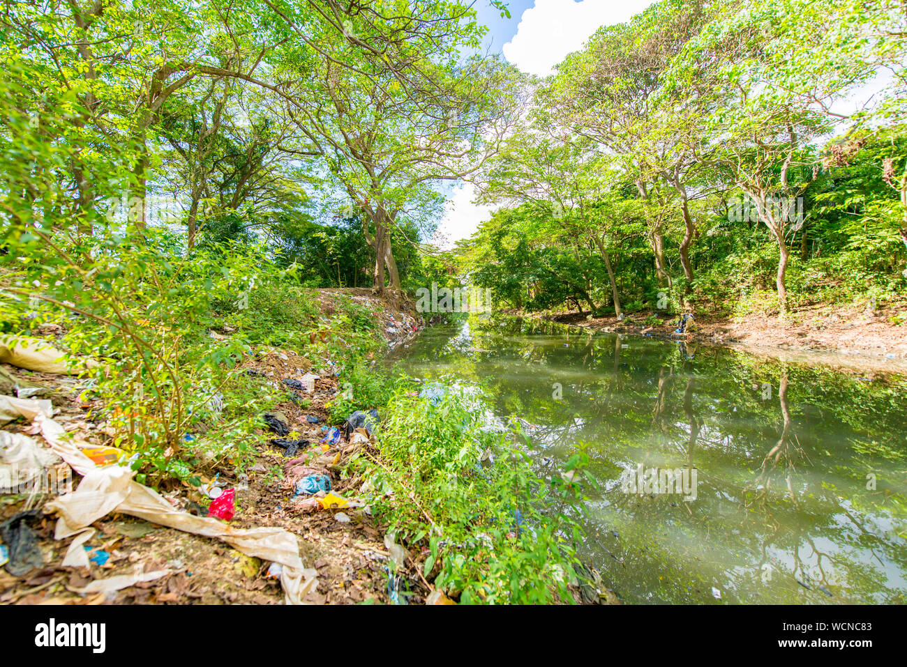 Green River banche con alberi pieni di immondizia e indesiderata in Santo Domingo, Republica Dominicana Foto Stock