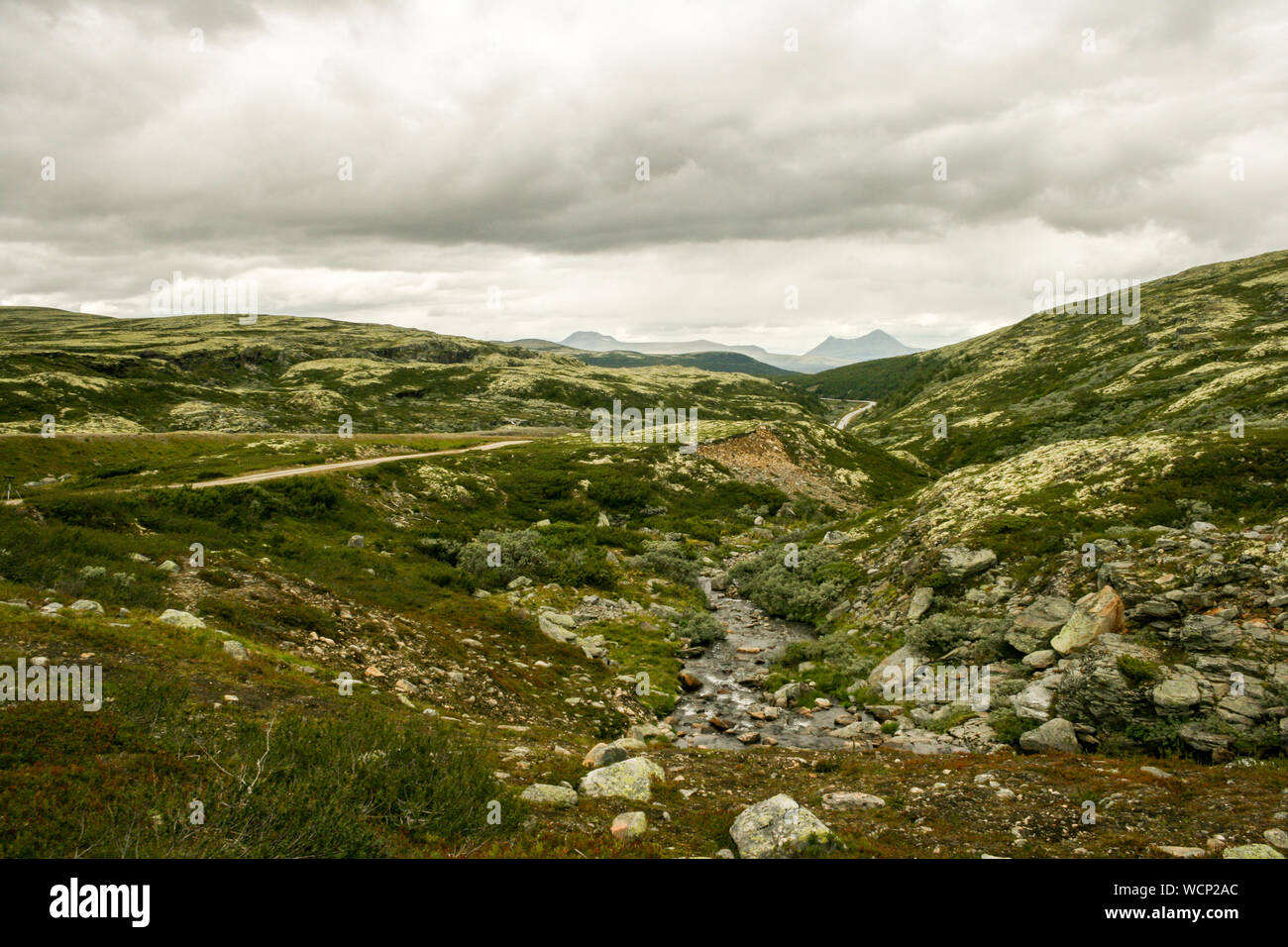 Rondane National Park, Norvegia, Europa Foto Stock