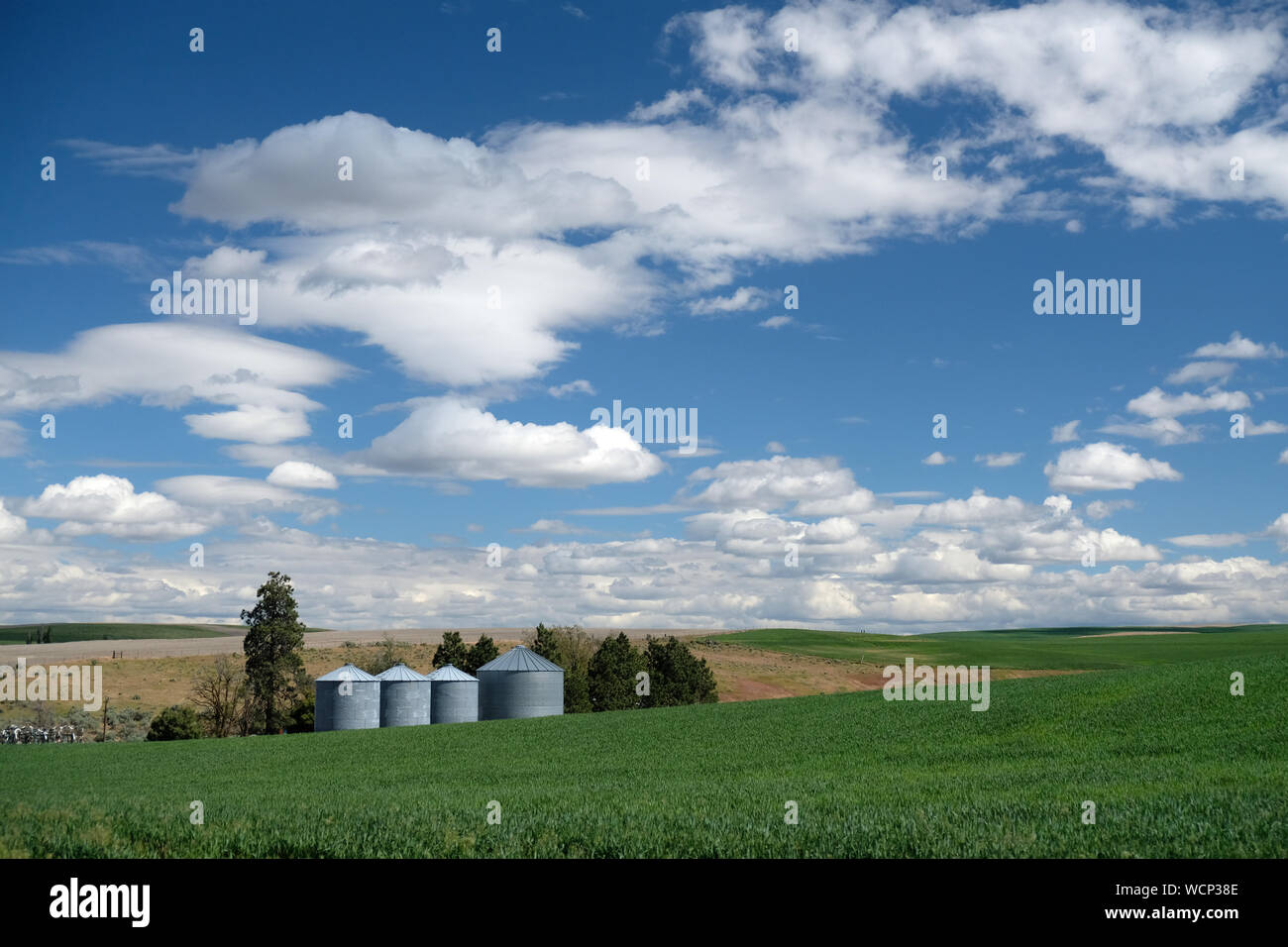 Sherman County Oregon farm Foto Stock