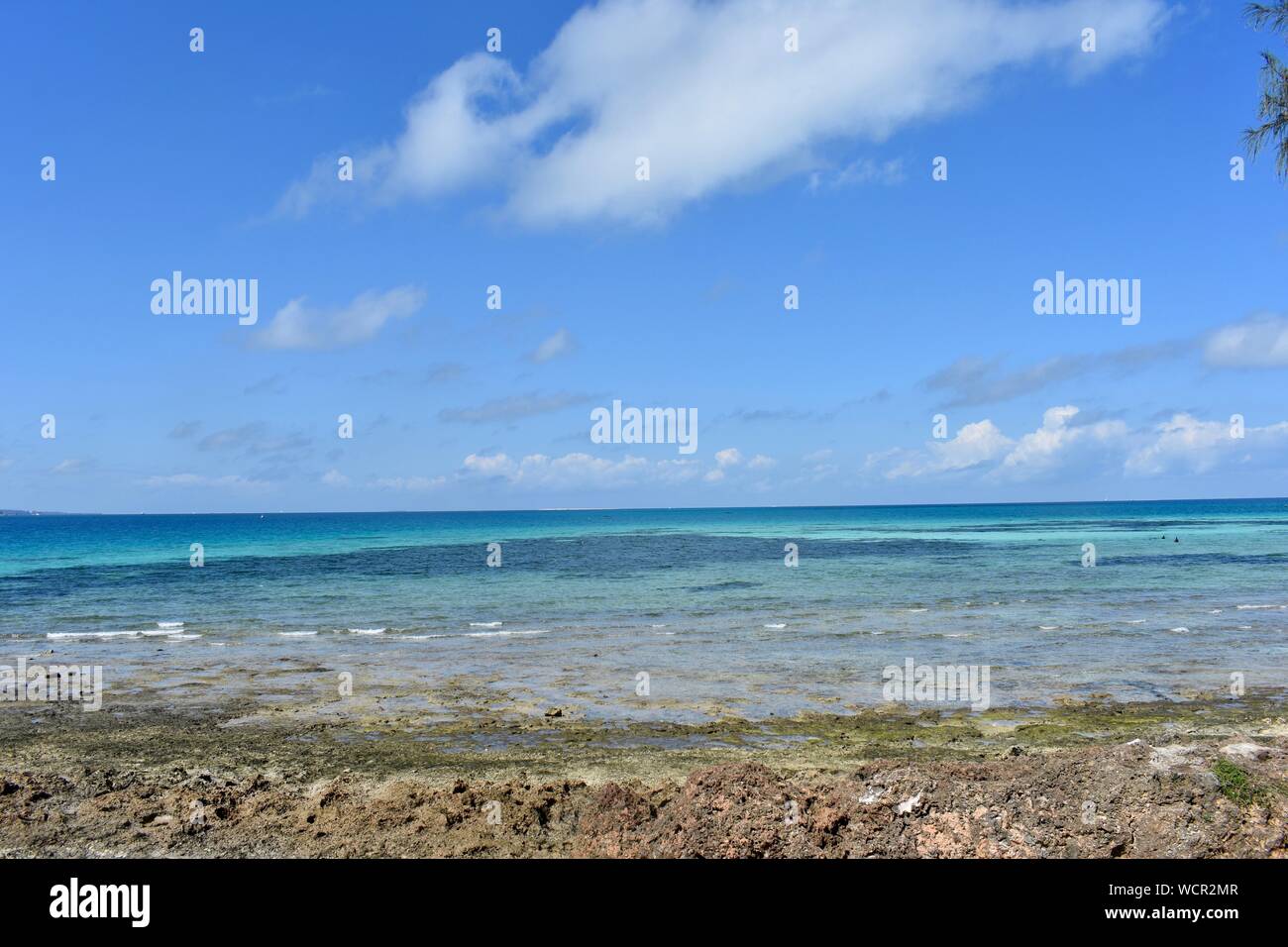 Isola prigione, Zanzibar Tanzania Foto Stock