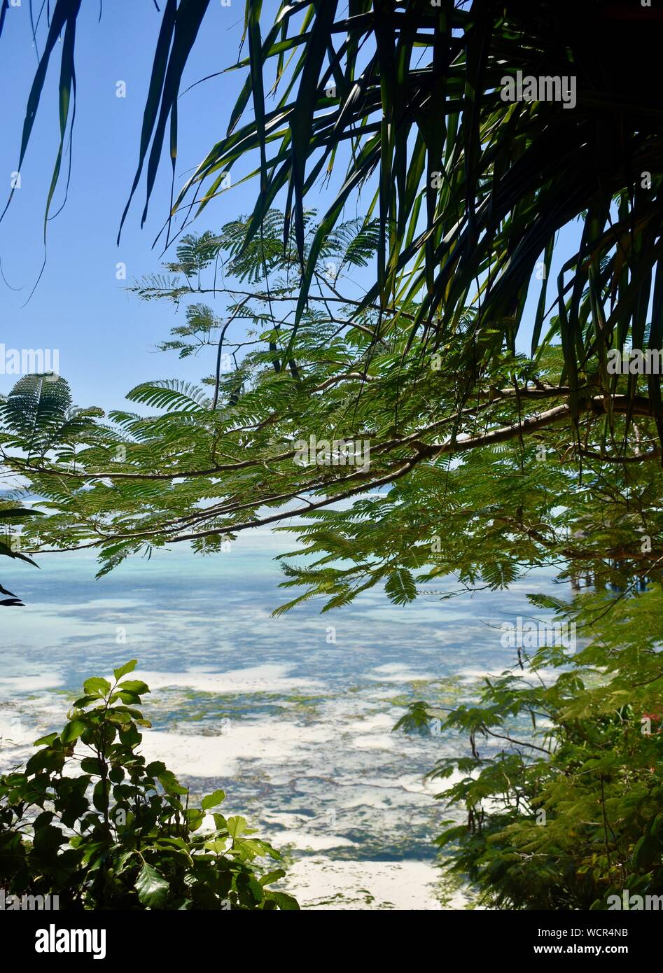 Vista dal Melia Hotel Zanzibar, Tanzania Foto Stock
