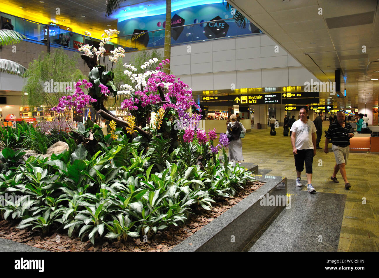 SINGAPORE; 13 febbraio: le persone non identificate a piedi passato un impressionante display orchid il 13 febbraio 2009 nell'aeroporto internazionale di Changi, Singapore Foto Stock