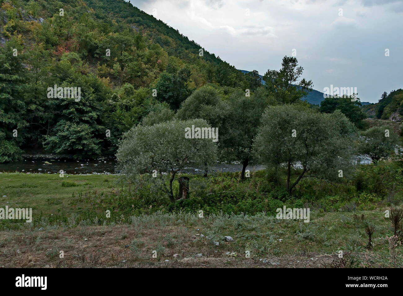 Parte della splendida vallata del fiume Topolnitsa attraverso Sredna Gora montagna, Bulgaria Foto Stock