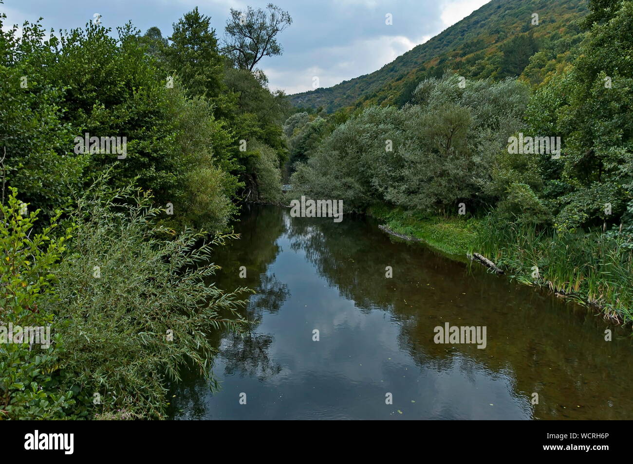Parte della splendida vallata del fiume Topolnitsa attraverso Sredna Gora montagna, Bulgaria Foto Stock