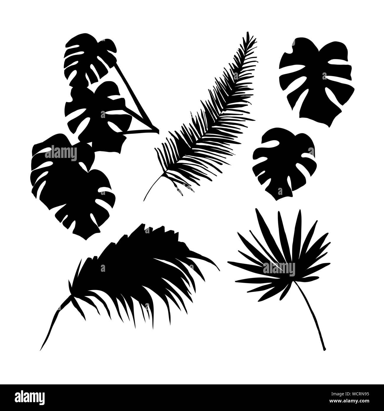 Palm tree fogliame silhouette illustrazioni vettoriali set. Monstera e foglie di noce di cocco nero simboli set. Giungla tropicale, flora della foresta pluviale. Piante esotiche rami e leafage isolati su sfondo bianco Illustrazione Vettoriale