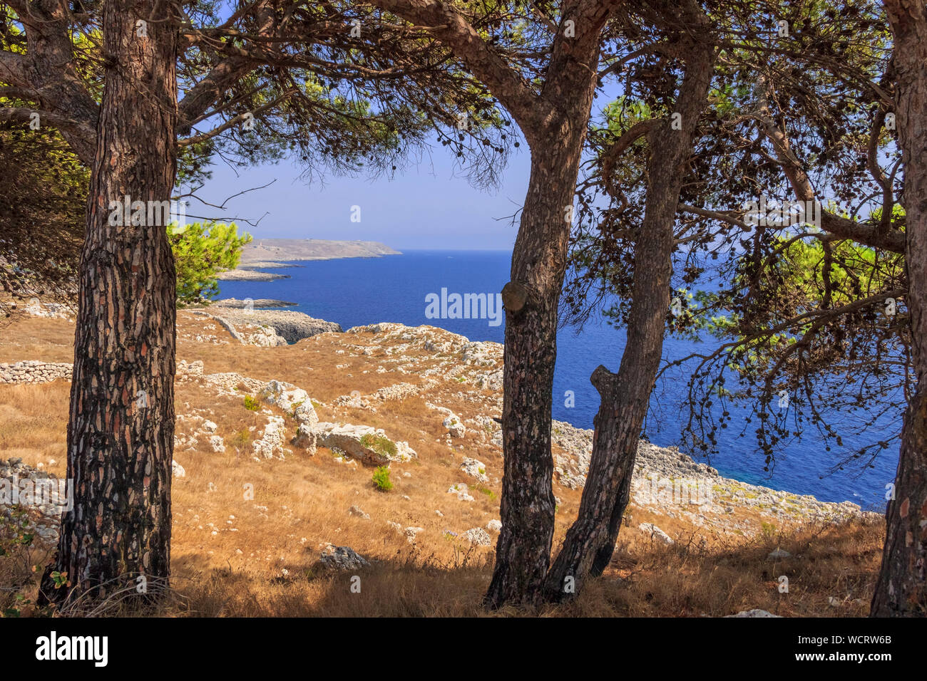 tranquillità, paesaggio, scenico, albero, all'aperto, costa adriatica, mare adriatico, puglia, scogliera, scogliera, costa, paesaggio costiero, costa, destinazione Foto Stock