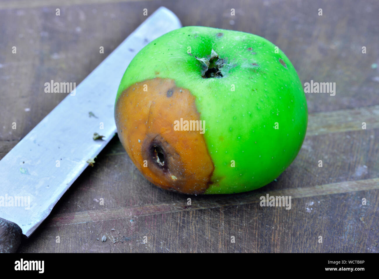 Apple con un marcio area sul tagliere di legno con il coltello Foto Stock