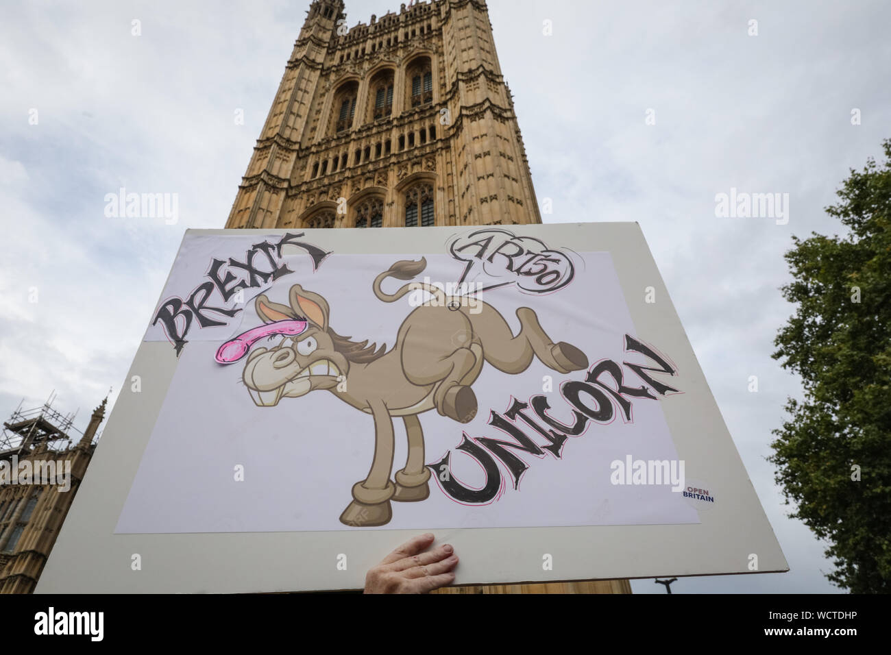 Westminster, London, Westminster, London, 28 agosto 2019.Migliaia di manifestanti indignati raccogliere in College Green, la piazza del Parlamento e successivamente al di fuori di Downing Street a Westminster per un 'Stop il colpo di Stato' protestare contro la prevista proroga del Parlamento nel mese di settembre, che oggi è stato ordinato dal governo e approvato dalla regina al Balmoral. Credito: Imageplotter/Alamy Live News Foto Stock