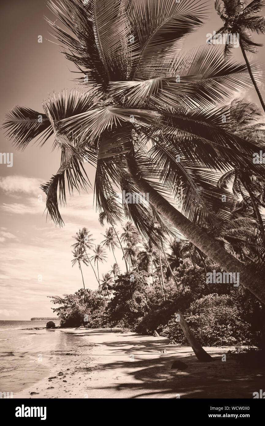 Scenic seppia oscurata vista da cartolina di rustico Paradise Island Beach con le torreggianti palme sotto il cielo tropicale Foto Stock