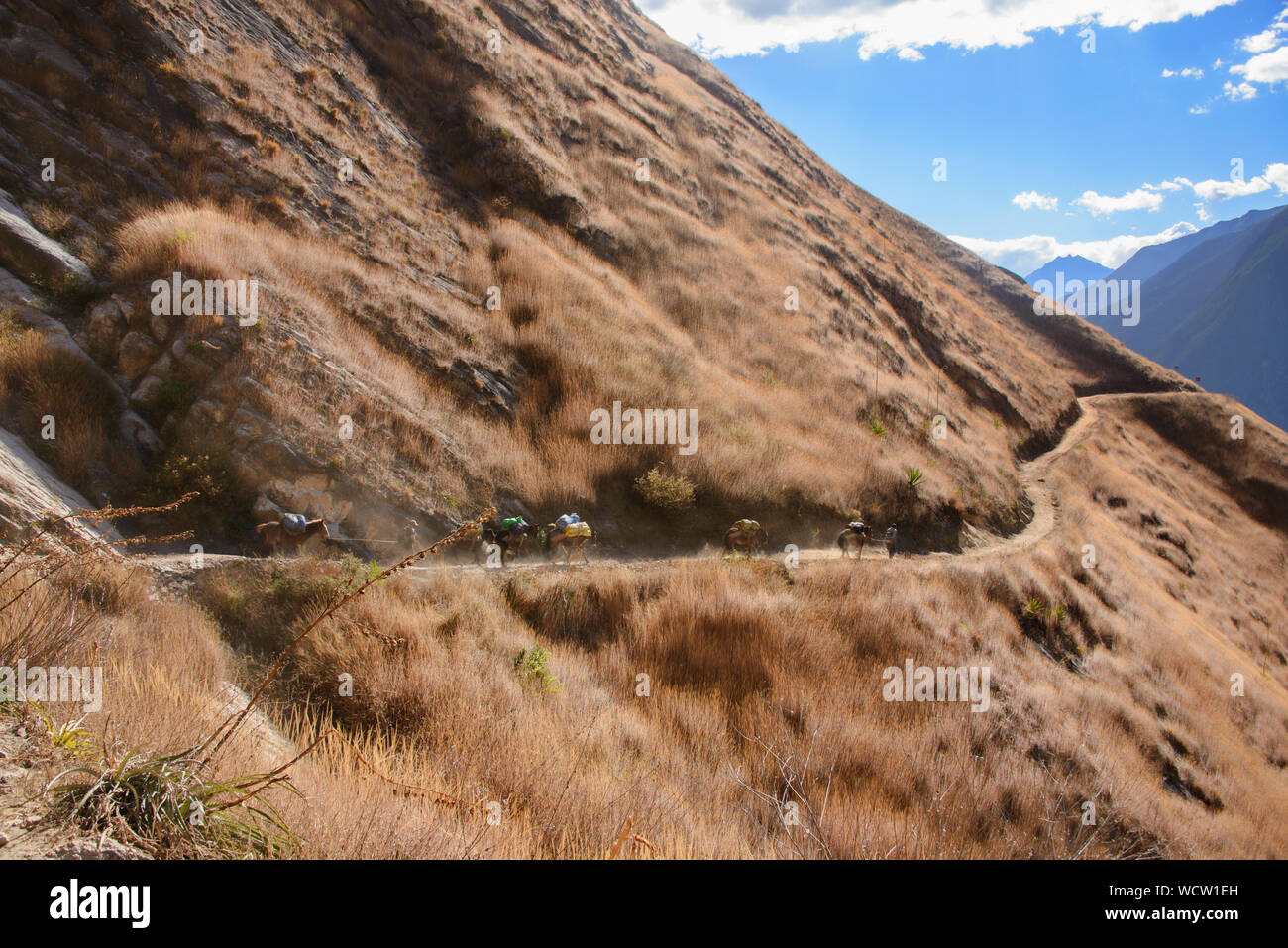 Trekking a cavallo in Apurimac Canyon sul Senso - Inka trek, 'l'altra Machu Picchu,' Santa Teresa, Apurimac, Perù Foto Stock