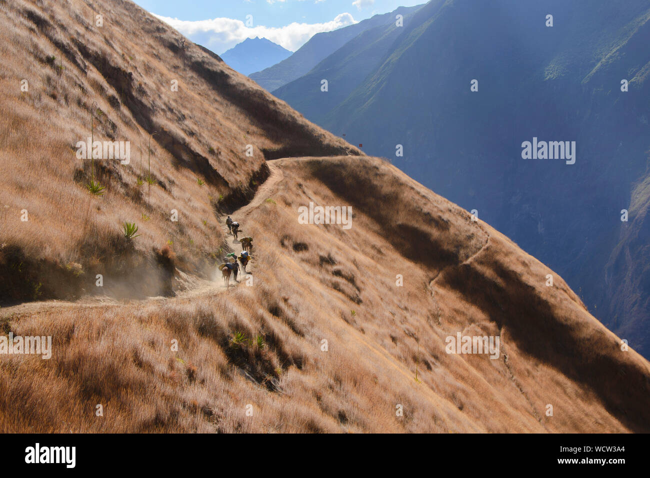 Trekking a cavallo in Apurimac Canyon sul Senso - Inka trek, 'l'altra Machu Picchu,' Santa Teresa, Apurimac, Perù Foto Stock