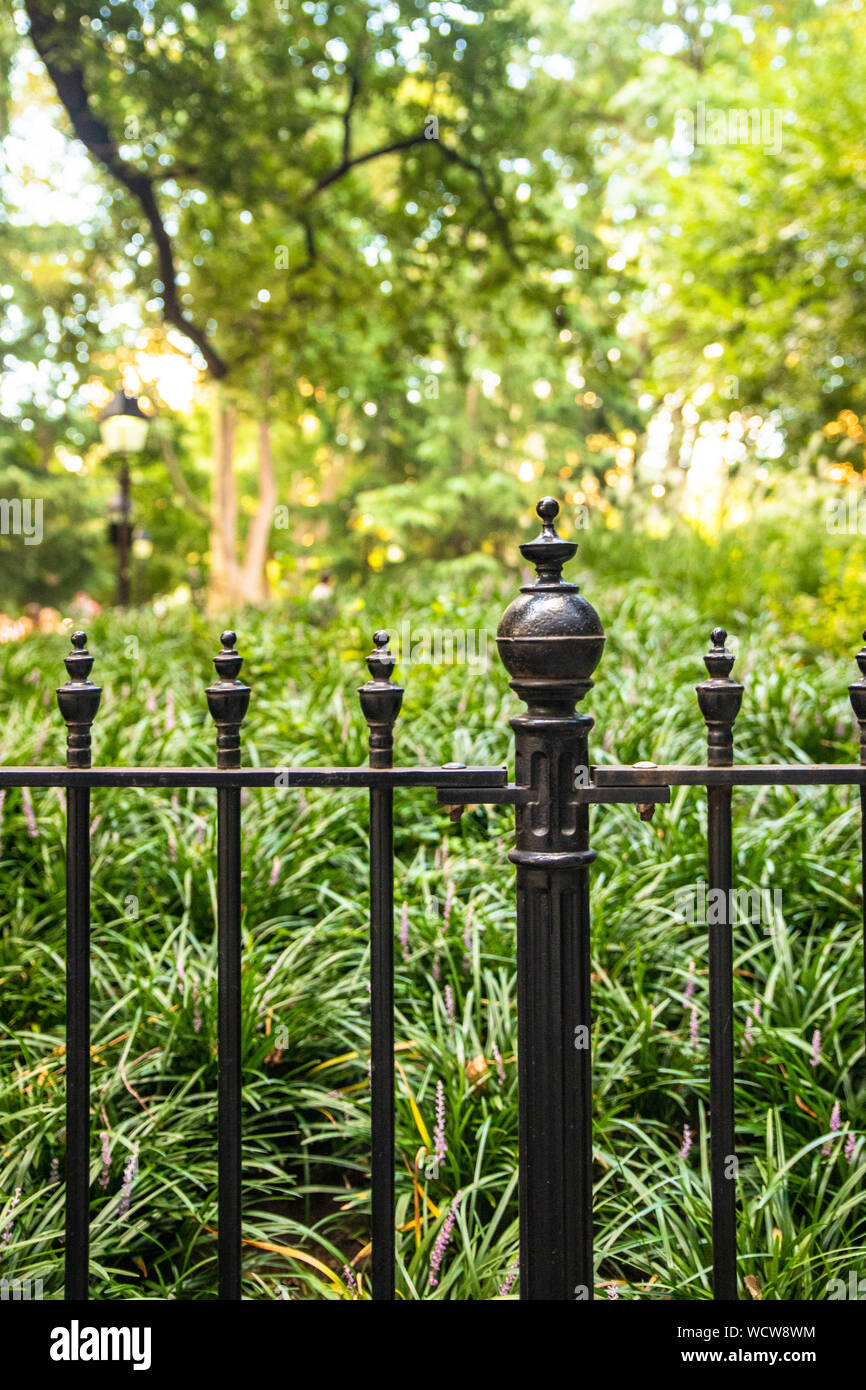 Ferro battuto contro la recinzione parco verde con alberi e cespugli Foto Stock