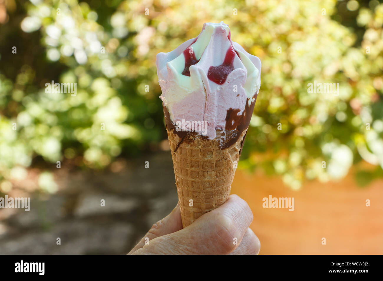 Vaniglia e gelato alla fragola nelle mani di una donna Foto Stock