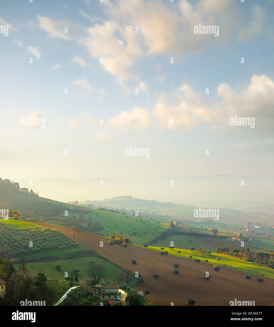 L'Italia. Vista panoramica di marche di colline. Foto Stock