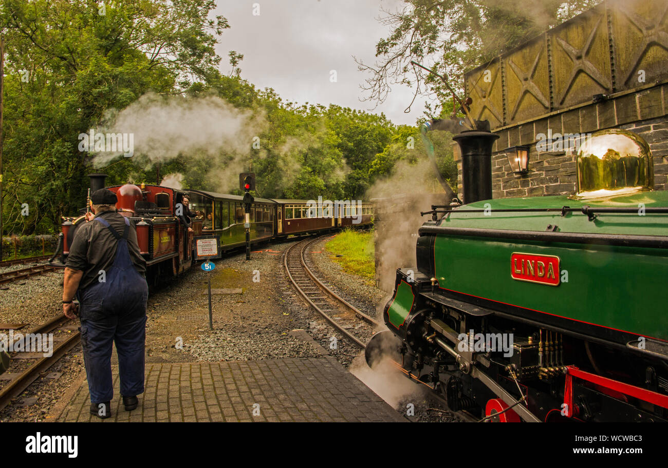 Il vapore traiins alla stazione Tanybwlch, Gwynedd, NW del Galles Foto Stock