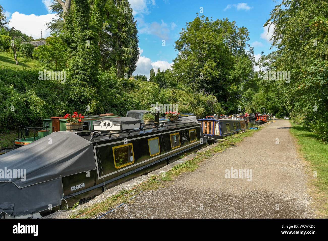 Bagno, Inghilterra - Luglio 2019: Stretta barche ormeggiate sul carbone Somerset Canal vicino alla città di Bath Foto Stock