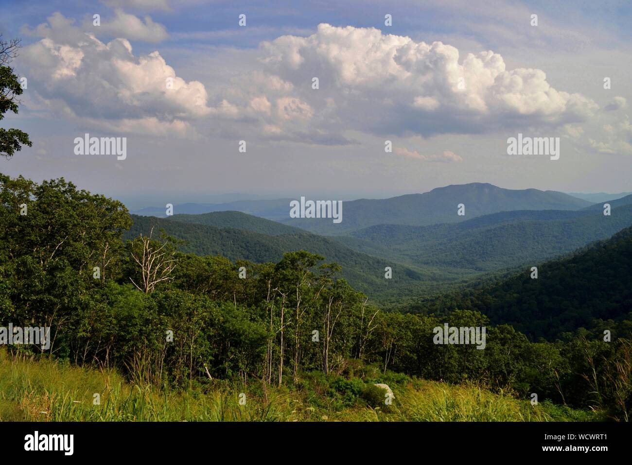 Vista delle montagne del Parco Nazionale di Shenandoah dalla Skyline Drive vicino a Sperryville Virginia, Stati Uniti d'America Foto Stock