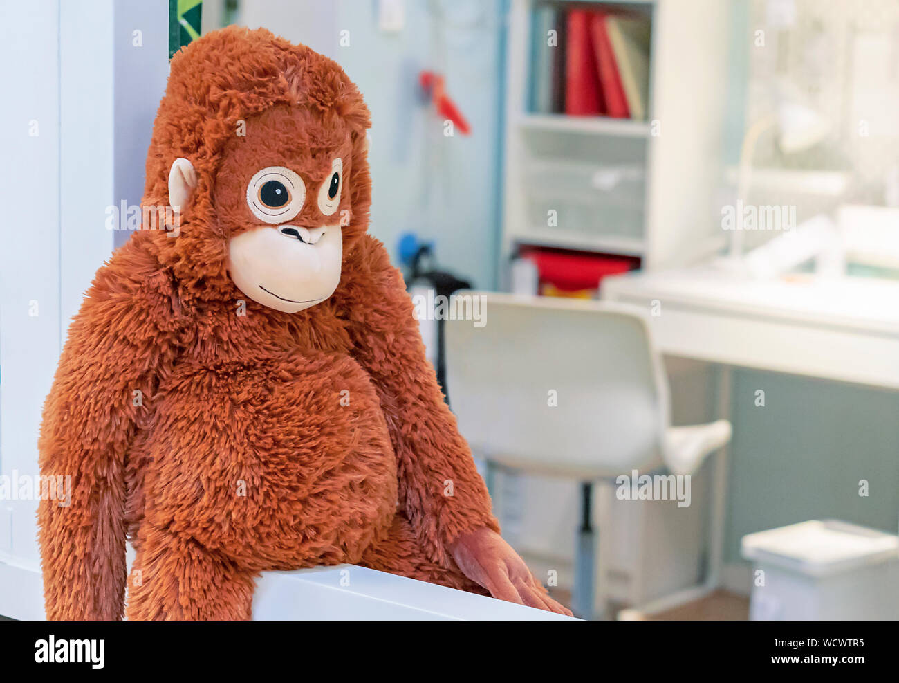 Peluche scimmia arancione nel negozio di giocattoli Foto stock - Alamy