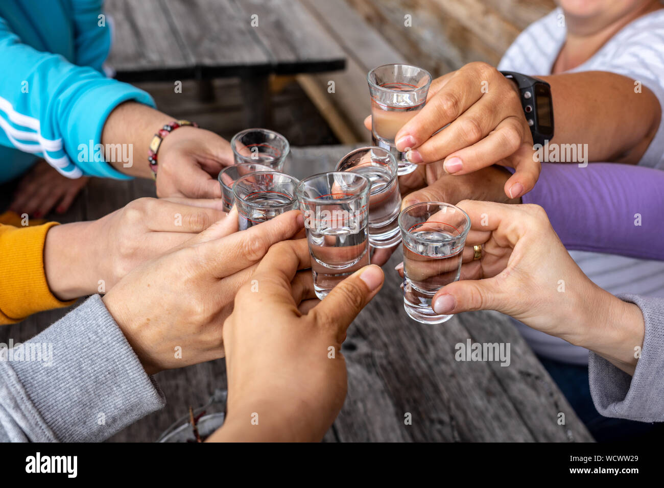 Toast con gli amici con scatti di spiriti Foto Stock