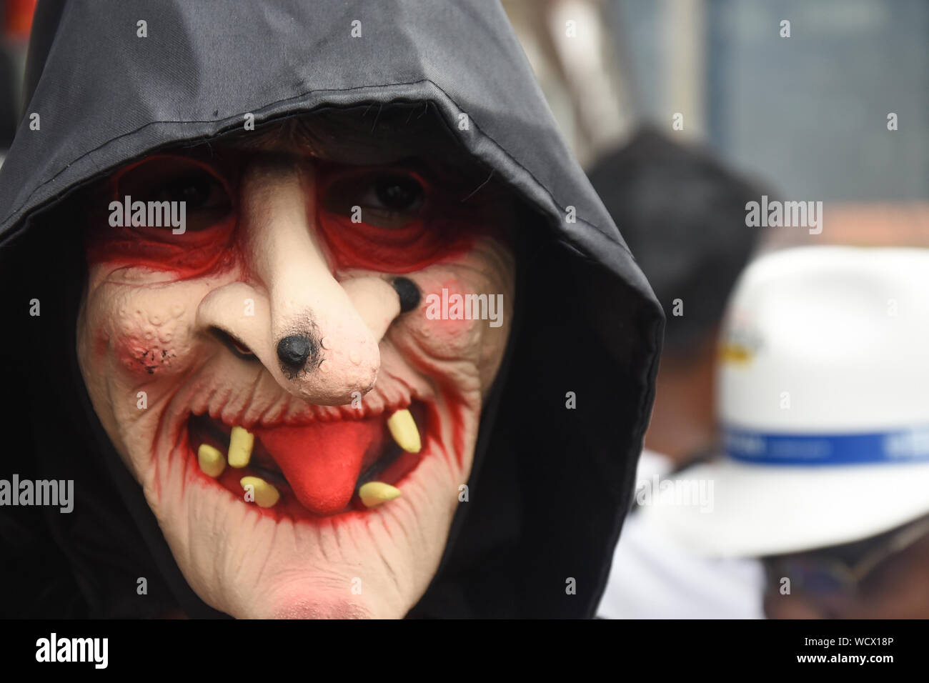 RIO DE JANEIRO, BRASILE, Marzo 03, 2019: i festaioli hanno un grande momento vestito in Cordão do Boi Tata blocco nel centro di Rio de Janeiro Foto Stock