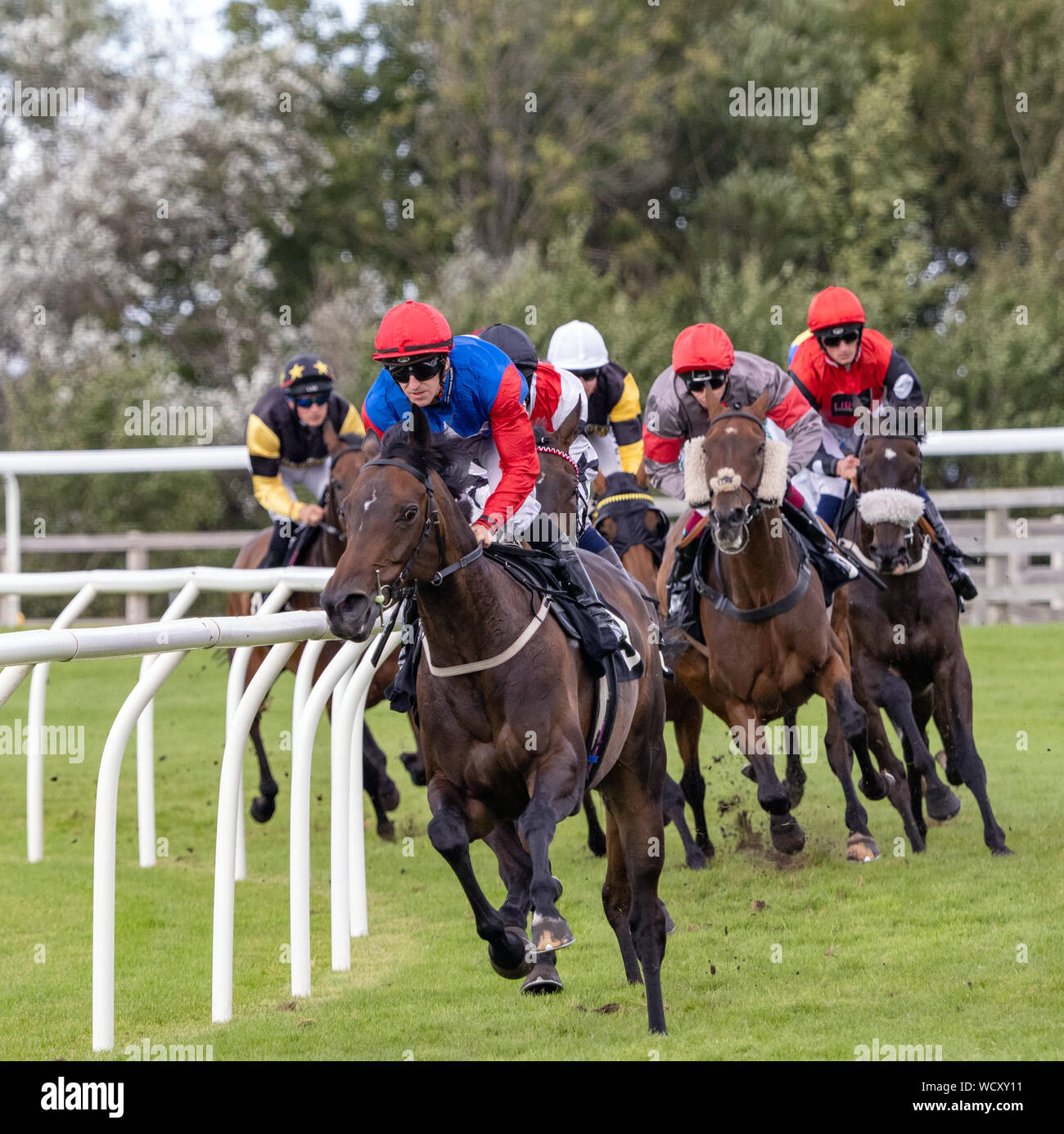 Jockey, Jamie Gormley (Red Hat/manicotti rosso) su Dizoard, in 'Handicap Witherbys', Musselburgh Racecourse, 28 agosto 2019. Foto Stock