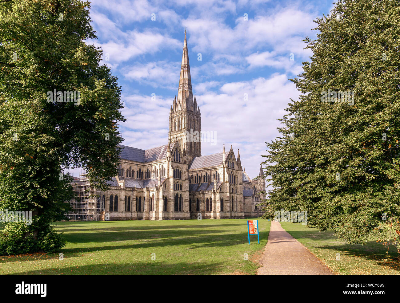 Vista della cattedrale di Salisbury, dal Nord Est e incorniciata da alberi, con i ponteggi visibile su ala est Foto Stock