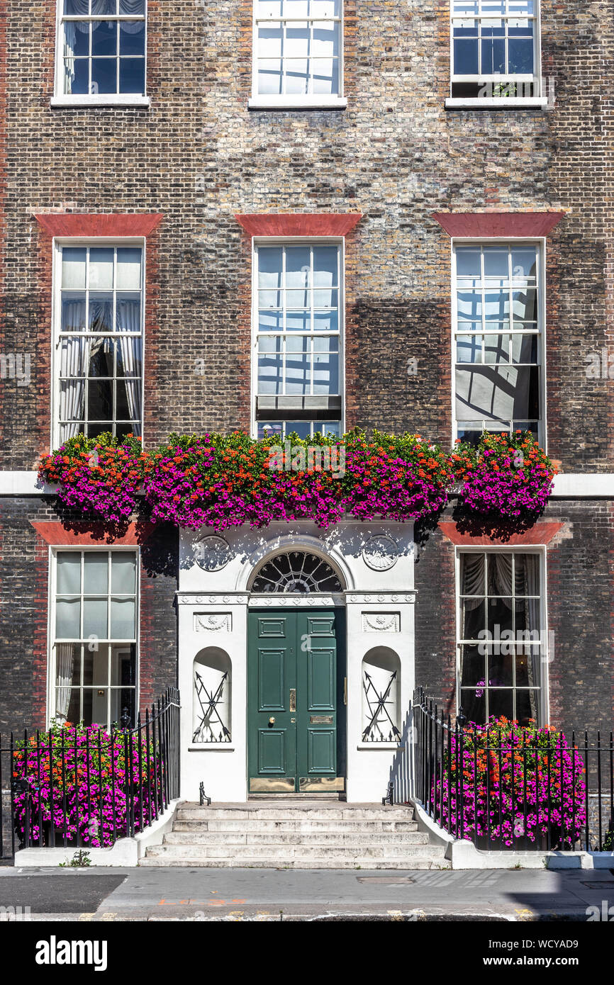 Un Georgiani terrazzati casa decorata con fiori naturali, Gower Street, Bloomsbury, Londra WC1, Inghilterra, Regno Unito. Foto Stock